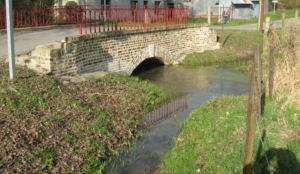 Frettemeule